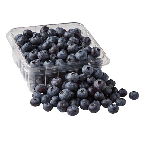 blueberry store online